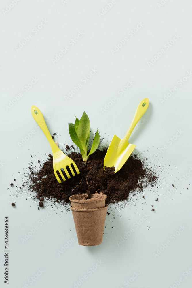 Concept planting flowers. Spring season gardening. Small hand tools, plant, soil on blue background. Work and hobby. Vertical format. Top view.