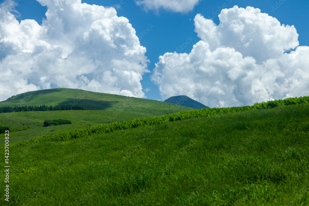 青空の夏の草原に立ち上る入道雲2 青空の夏の草原に立ち上る入道雲2