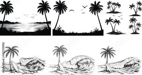 Boad Beaches coconut man tree silhouette image