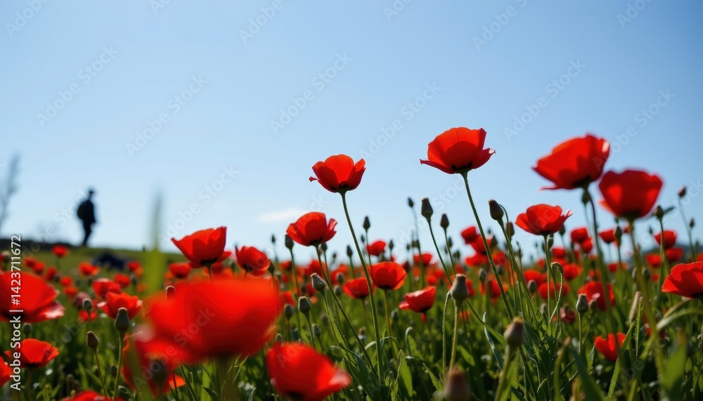 Naklejka premium Field of red poppies under a clear blue sky with a silhouette of a soldier in the background, remembrance symbolism, calm and beautiful
