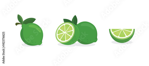 Set of Lime vector. Set of green fresh lime icon. Lime fruits on white isolated. Lime slices collection isolated on white background.