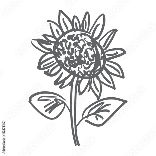 Sketch sunflower ink hand drawn vector illustration isolated on white background for packaging design food website herbal medicine	