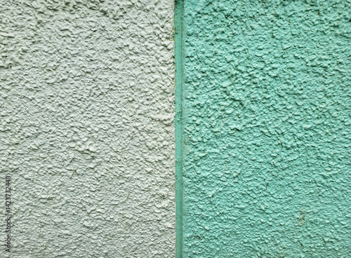 фотографія The background is green and white made of rough decorative plaster