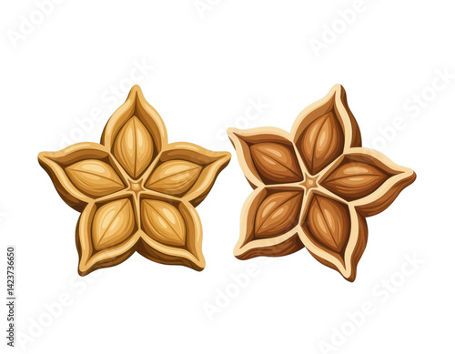 Obraz na płótnie Sacha Inchi Seeds, Star Shaped, Brown, Transparent Background w salonie