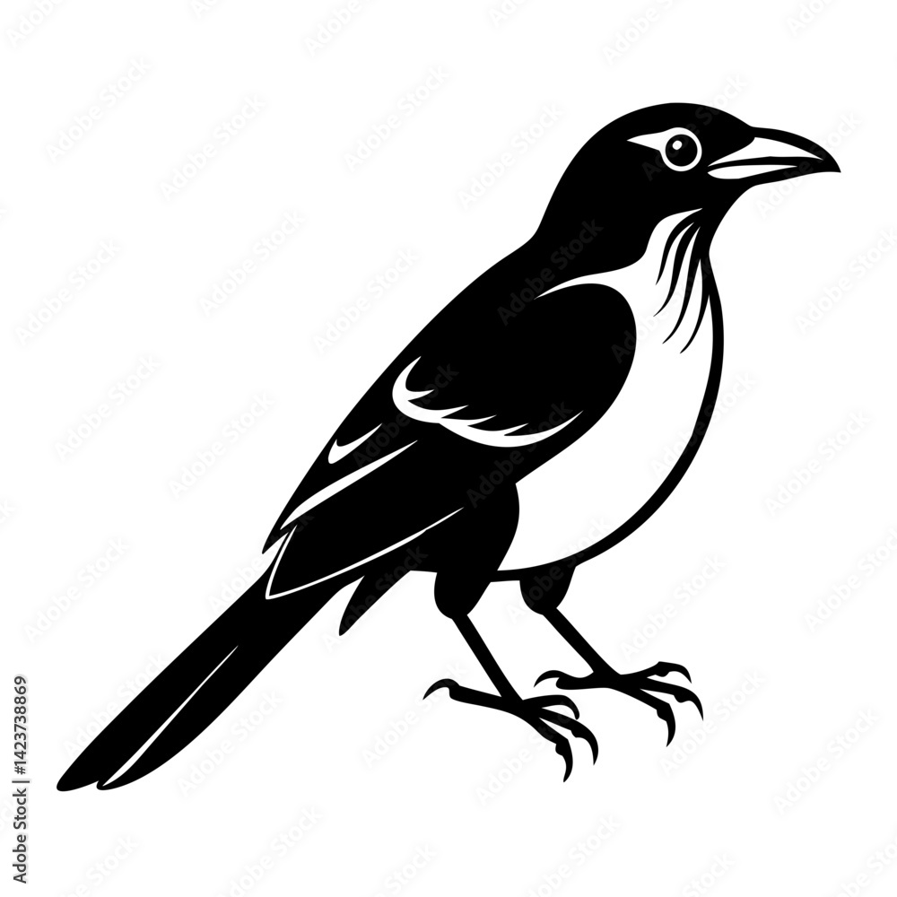 Fototapeta premium A captivating black and white illustration of a magpie, showcasing its elegant form and striking plumage. A study in contrasts that accentuates the sleekness and grace of the bird.