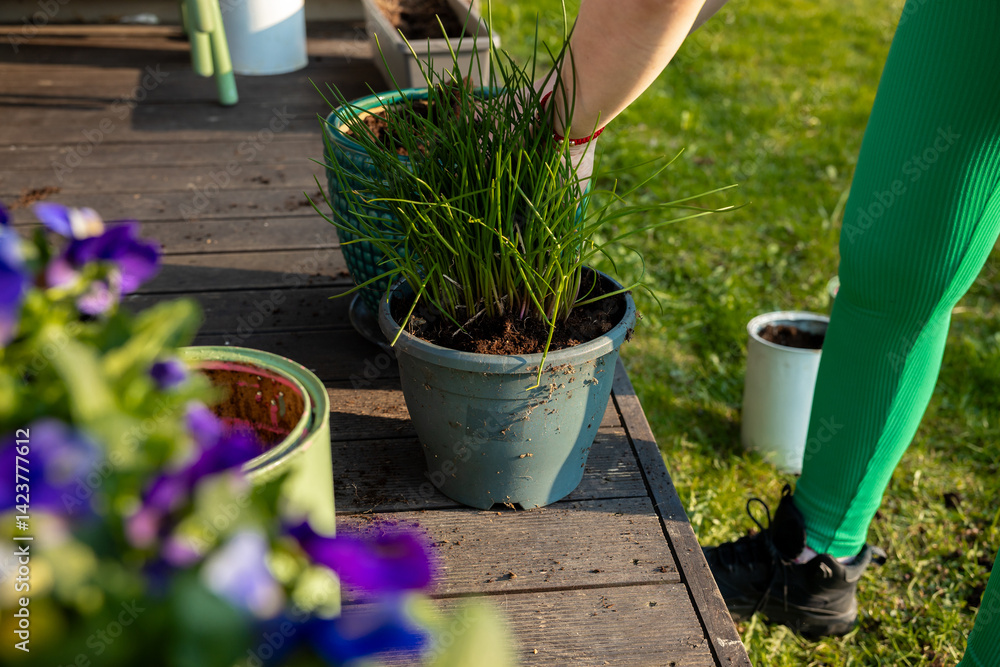A person in green leggings tends to a potted plant on a wooden deck. Purple flowers are in the foreground, with a grassy area in the background.