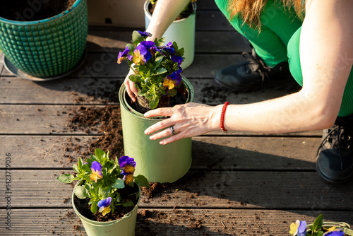 A person in green pants and black shoes plants purple and yellow flowers in light green pots on a wooden deck, with soil scattered around.