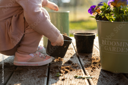 Obraz na płótnie A child in pink shoes and light clothing works with soil in black pots on a wooden deck. A green container with purple and yellow flowers is nearby. w salonie