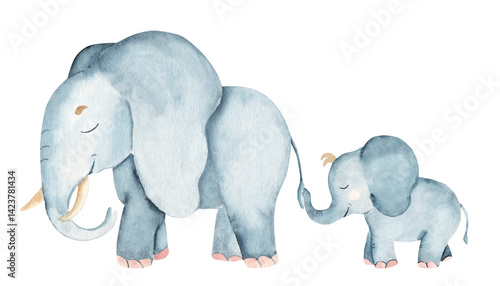 Photography Elephant Family
