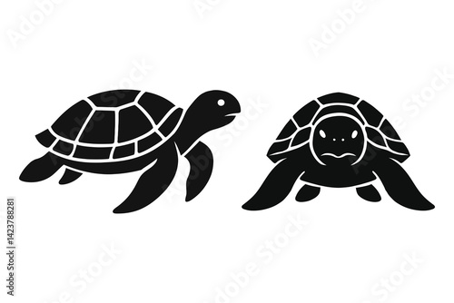 Turtles vector