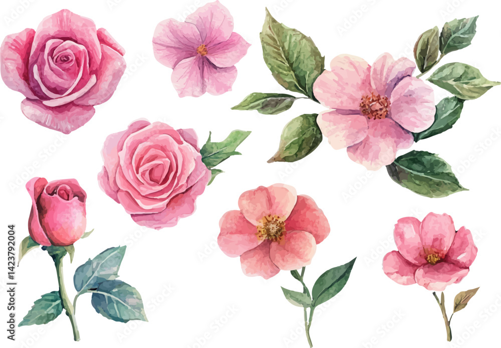 Fototapeta premium Beautiful Watercolor Pink Rose Flower Art Clipart