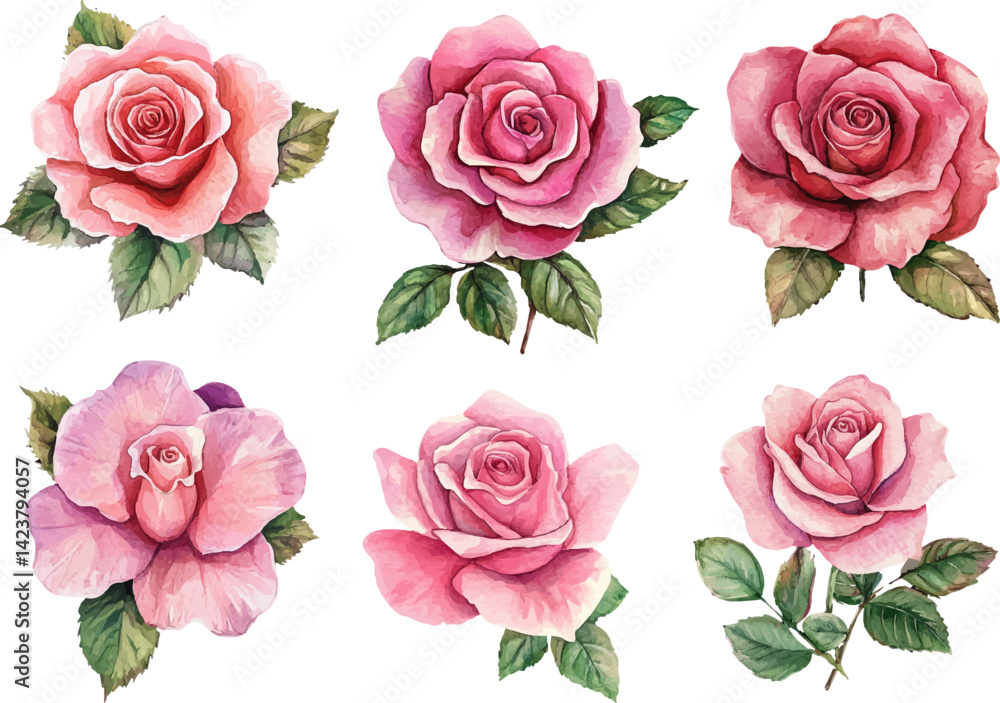 Naklejka premium set of roses vector illustration