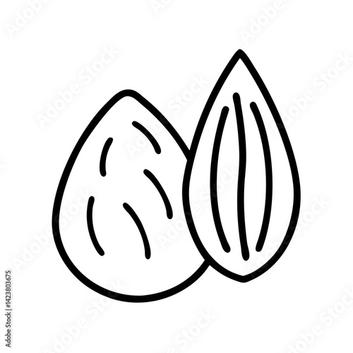 Almond nut outline drawing vector illustration healthy food snack ingredient organic nutrition vegan diet