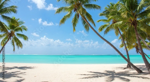 A tropical beach scene with palm trees, white sand, and turquoise water under a clear blue sky view