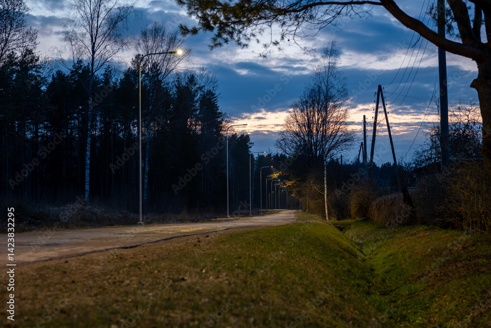 A dirt road bordered by a grassy ditch and sparse trees, illuminated by streetlights at dusk. Power lines run parallel under a clouded evening sky.