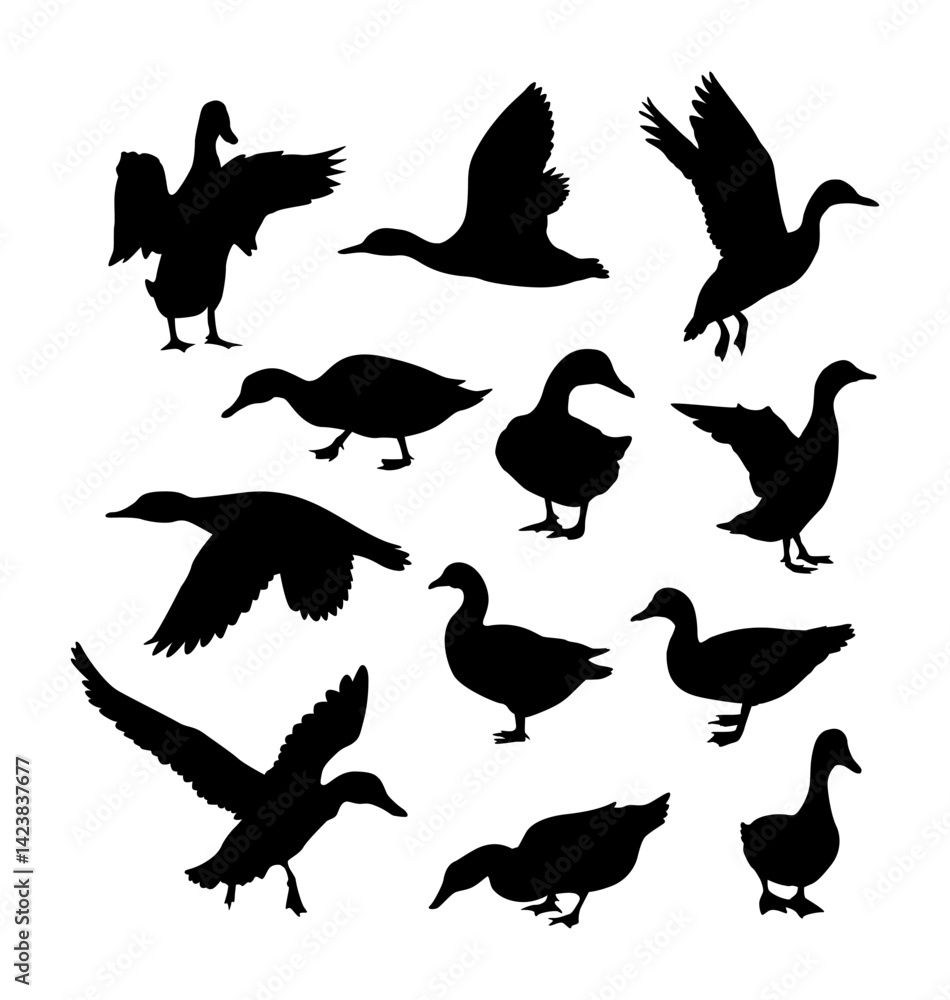 Obraz premium set of vector image silhouette of a duck