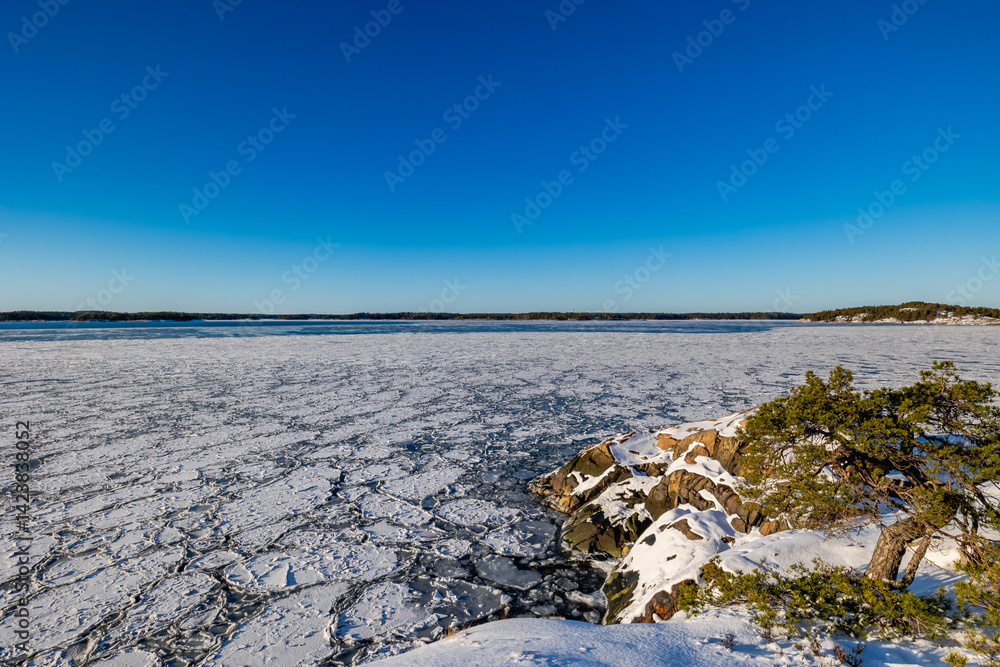 winter landscape with snow