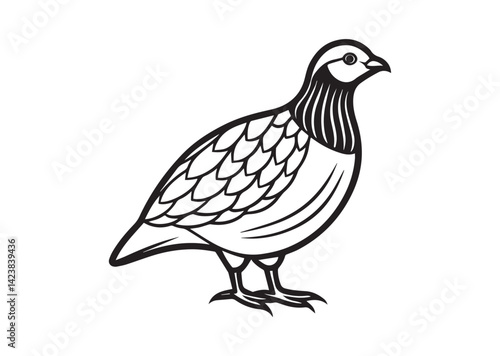 Bobwhite Quail Silhouette vector