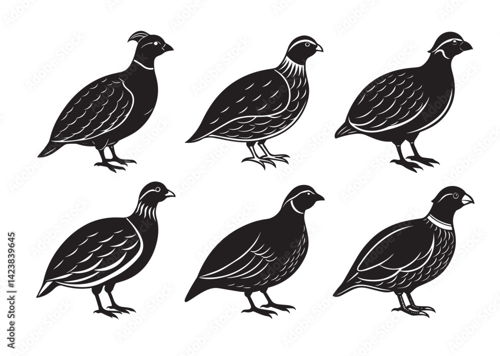 Bobwhite Quail Silhouette vector Set Bobwhite Quail Silhouette vector Set