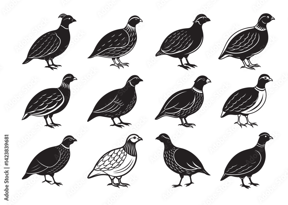 Obraz premium Bobwhite Quail Silhouette vector Set