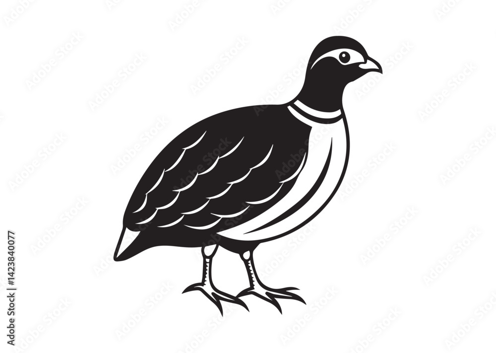 Obraz premium Bobwhite Quail Silhouette vector