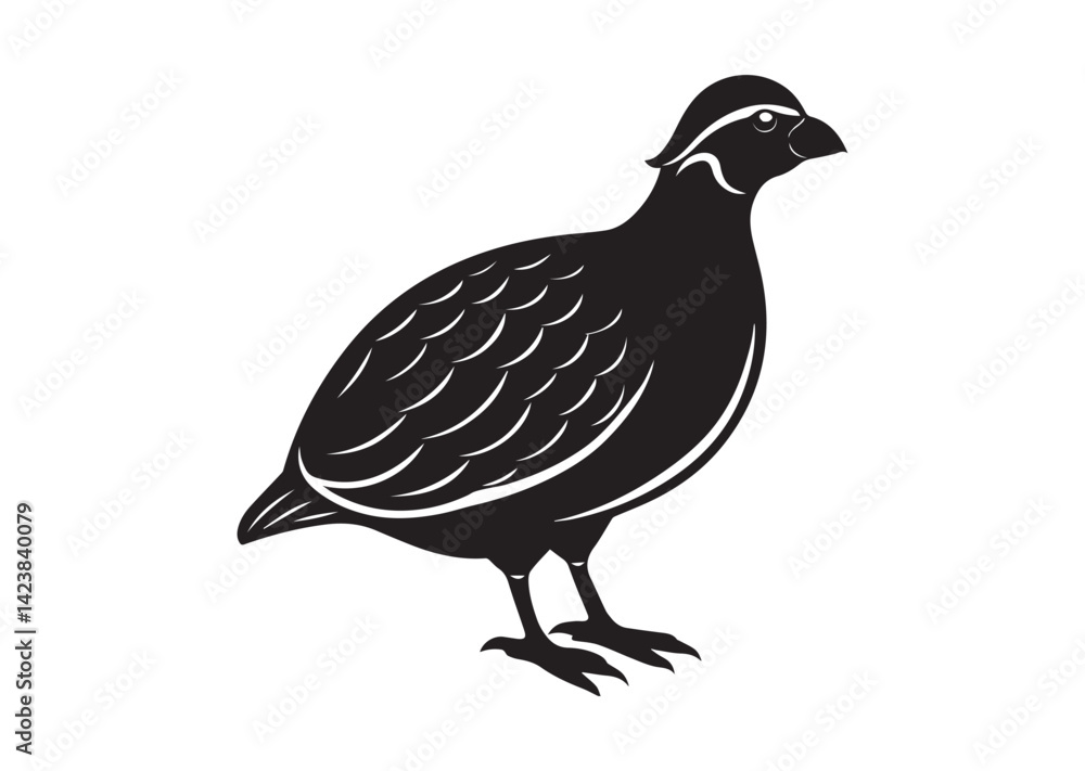 Fototapeta premium Bobwhite Quail Silhouette vector