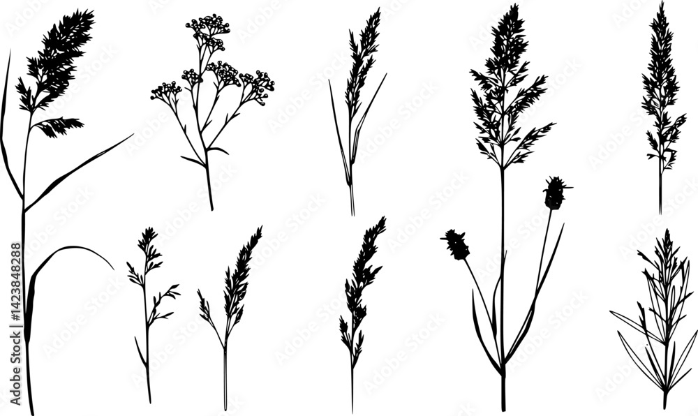 Fototapeta premium A collection of hand-drawn brush strokes depicting weed plants in a grunge style, featuring abstract elements painted with ink, isolated on a white background with black herbs and flowers