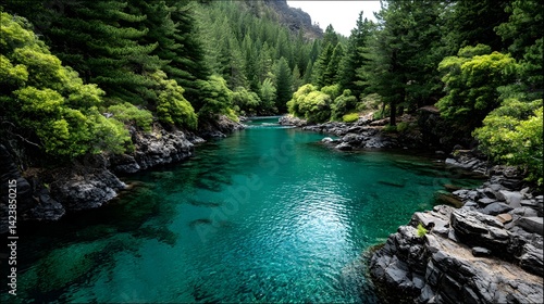 Lush green forest bordering a crystal clear turquoise river.