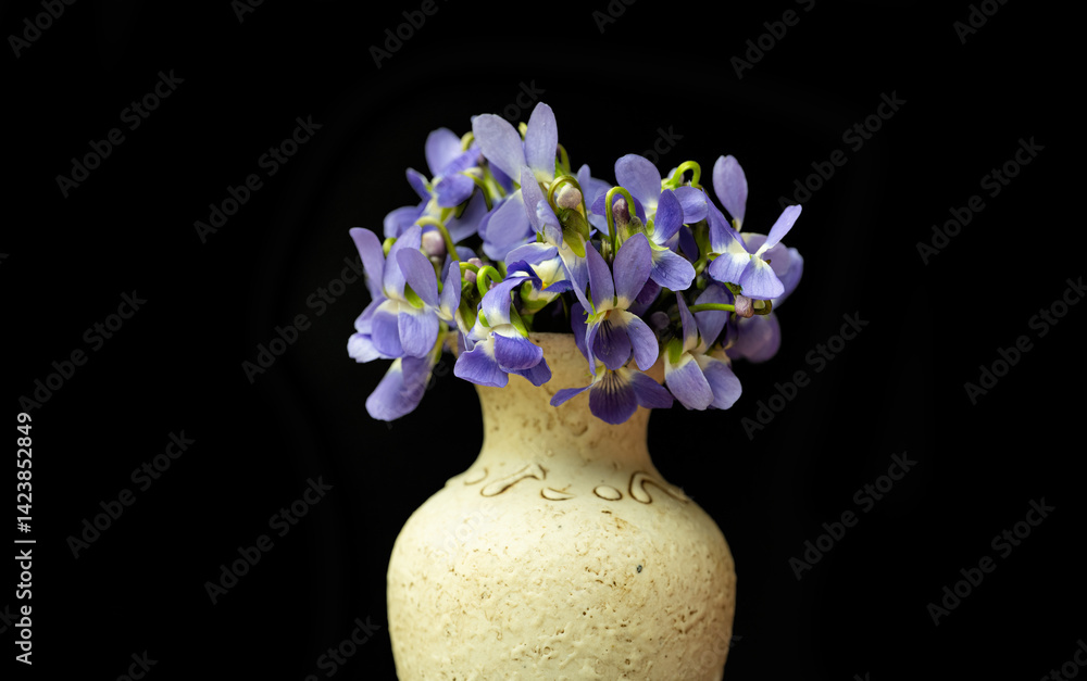 a bouquet of violets