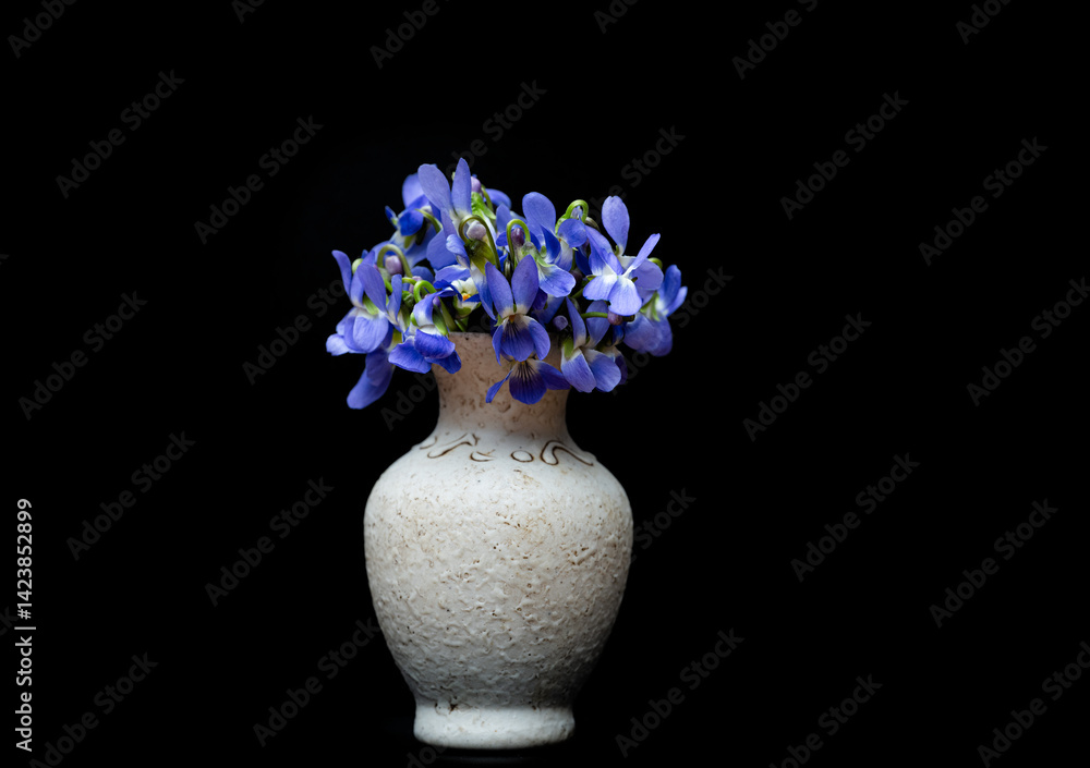 a bouquet of violets