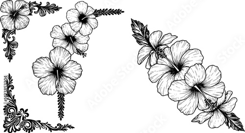 A vintage-style design element featuring a floral pattern corner border frame with a filigree heraldic crest motif
