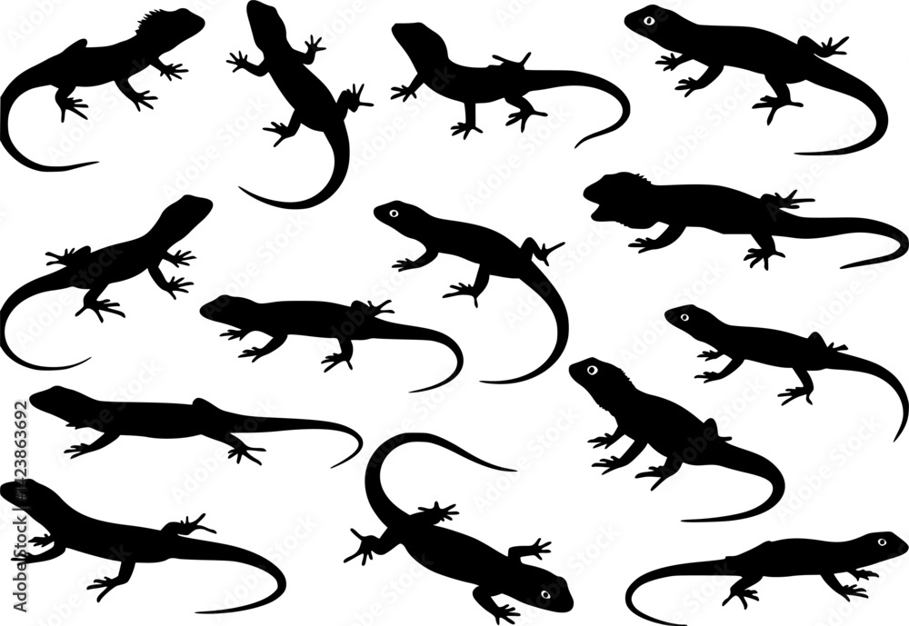 Naklejka premium Black silhouettes of lizards on a white background 