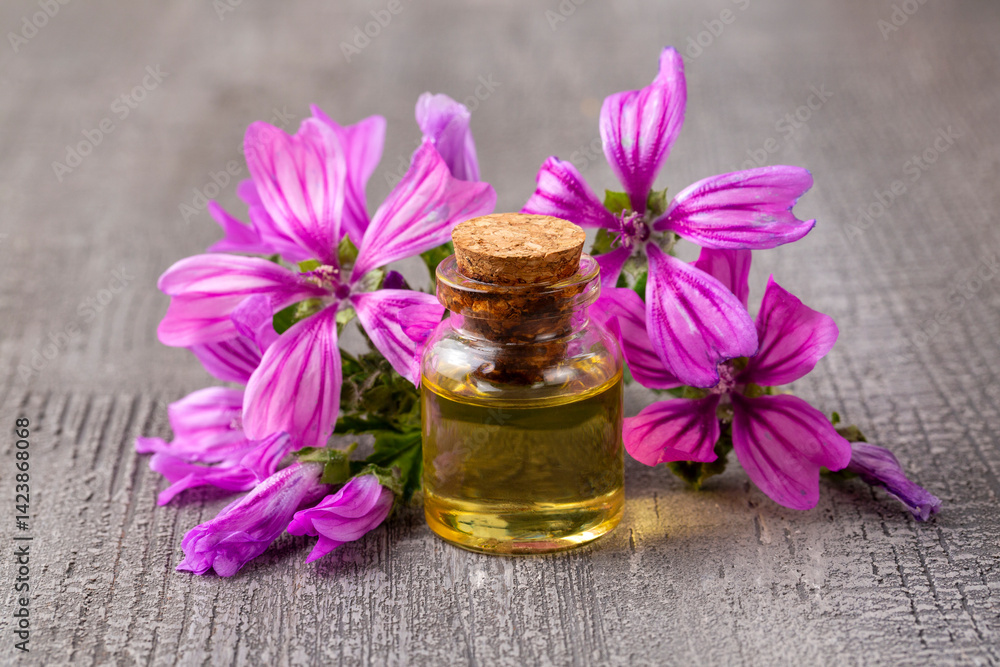 Essential oil bottle with common mallow or Malva sylvestris blossoms