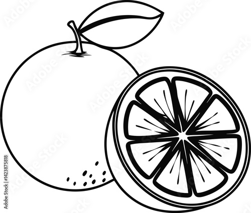 Ripe natural orange vector illustration