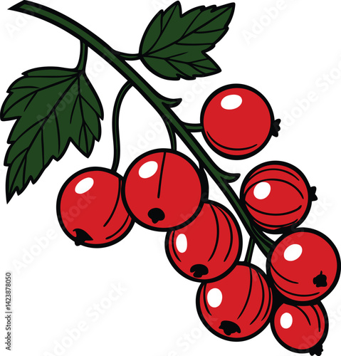 red currant isolated on white