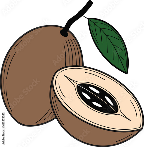 sapodilla icon, fruits vector icon - simple vector illustration of a sapodilla, in a simple and clean style, suitable for food and health themes. fruits flat illustration.