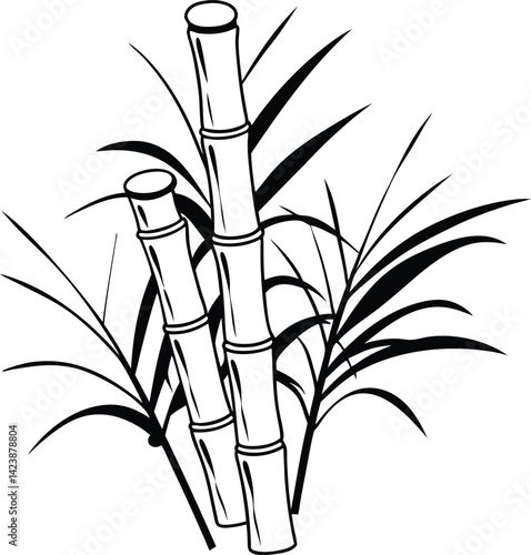 Sugar plant. Agriculture production of sugarcane plantation vector hand drawn collection.