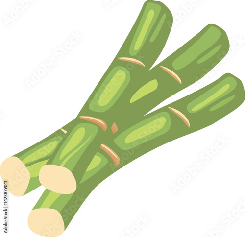Sugar plant. Agriculture production of sugarcane plantation vector hand drawn collection.