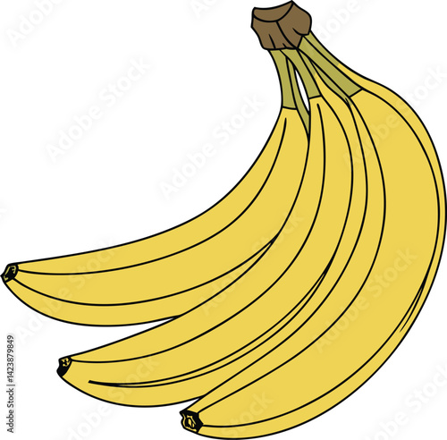 Cartoon banana. Peel banana,  isolated on white background,  banana icon vector illustration set