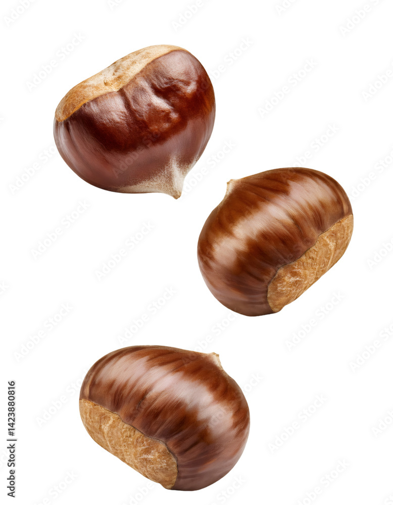 Three chestnuts falling against transparent background, with clipping path included for easy isolation Three chestnuts falling against transparent background, with clipping path included for easy isolation