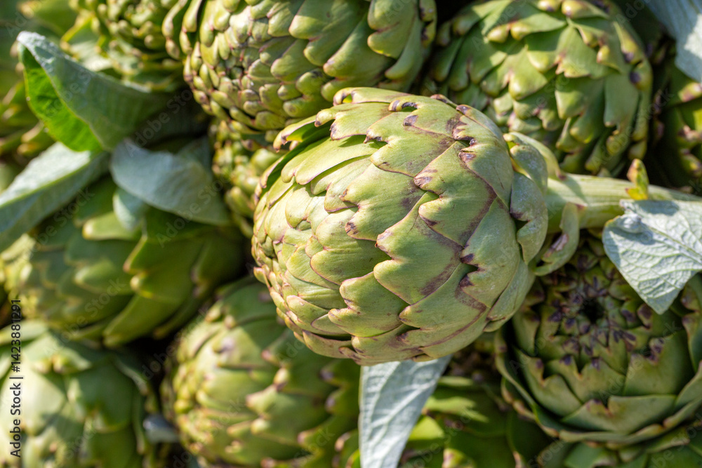 Green fresh organic artichoke in bazaar. Can be used as background texture.