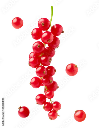 Obraz na płótnie Fresh red currants dropping, showcasing bright, glossy surface against clean white backdrop w salonie
