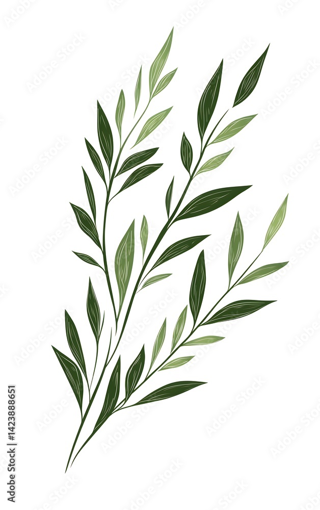 Fototapeta premium Design clean, minimal rosemary clipart with simple sprigs and green tones, isolated on a white background