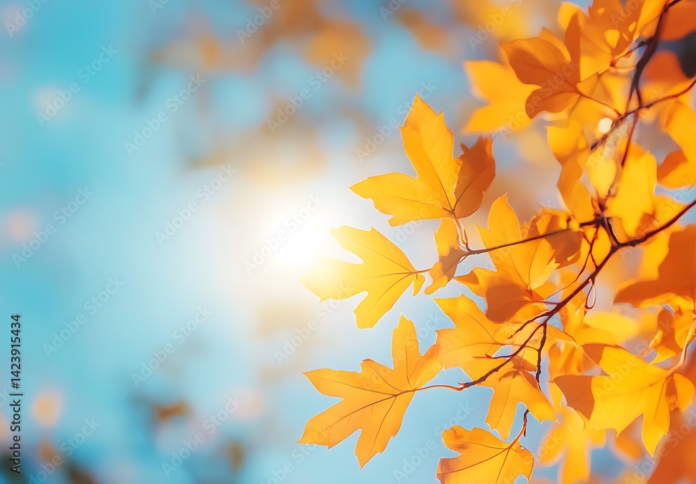 Autumn background with orange, yellow and red fall leaves in park and against a blue sky Autumn background with orange, yellow and red fall leaves in park and against a blue sky