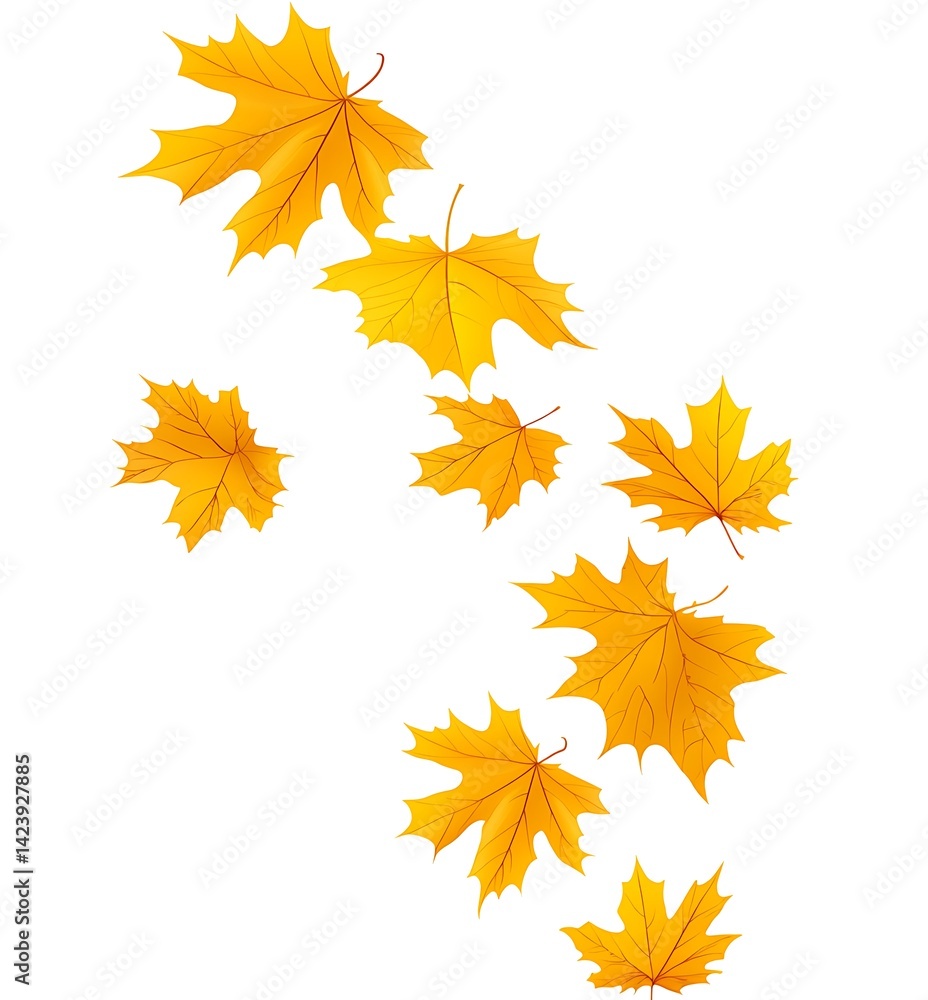 Falling autumn yellow maple leaves isolated on a white background Falling autumn yellow maple leaves isolated on a white background
