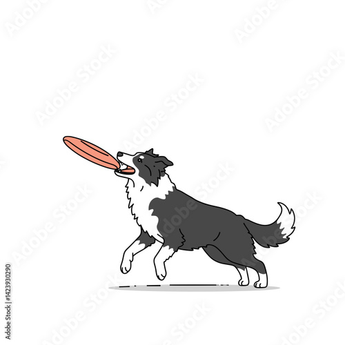 Border collie catching a frisbee in mid-air, showcasing agility and playful energy