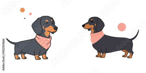 Dachshund wearing a scarf: Playful pet fashion for winter warmth and style