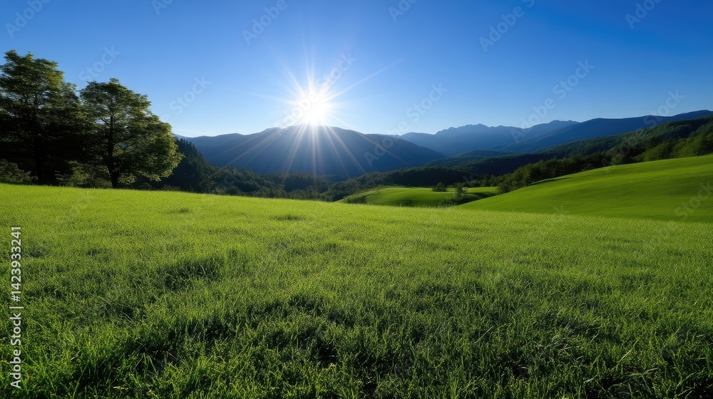 Fototapeta premium Sunlit meadow basking in the radiant glow of a bright sun, nestled amidst rolling green hills and mountains under a clear blue sky.