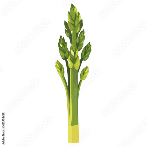 Wallpaper Mural Fresh Green Asparagus Stalks with Healthy Vegetables Background Torontodigital.ca