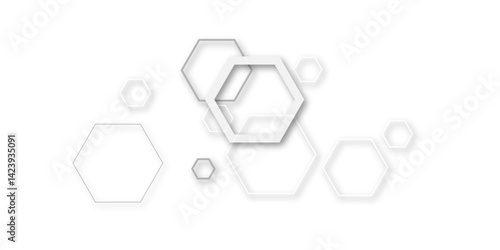 Gray and wite hexagon geometric pattern poster vector.
